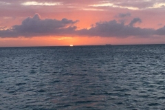 Octopus Aruba Sunset Sailing Cocktails Snacks Aruba Ariba